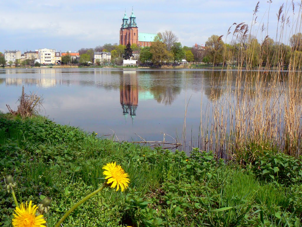 Gniezno - katedra