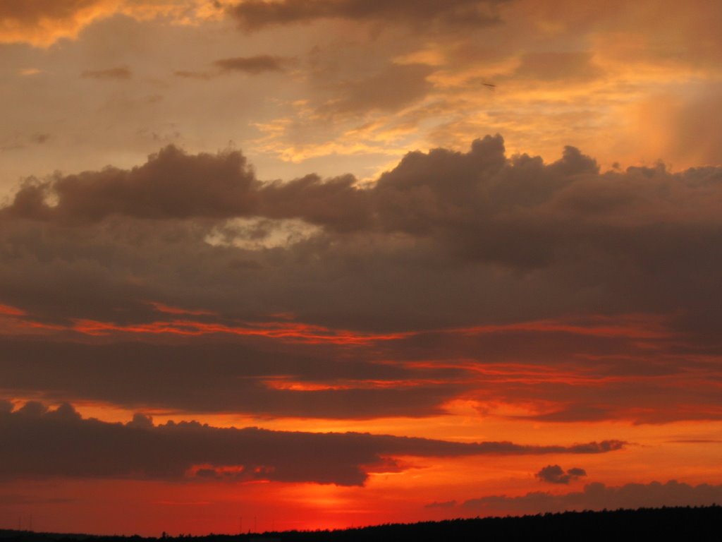 Sunset #5