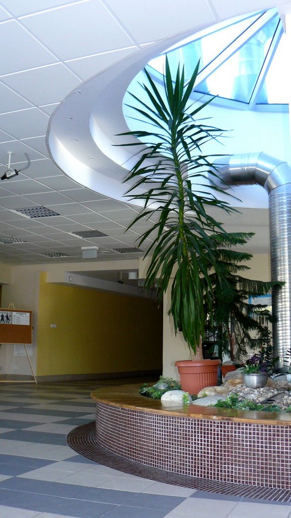 HALA  SPORTOWA (1)