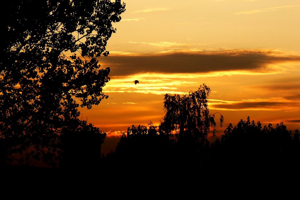 Odlot.... Fly away....