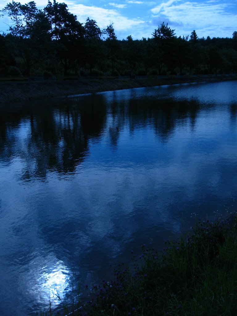 Rejów - Słońce odbijające się w wodzie