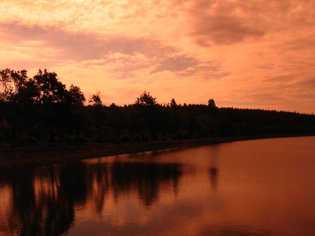 Rejów - Artystycznie