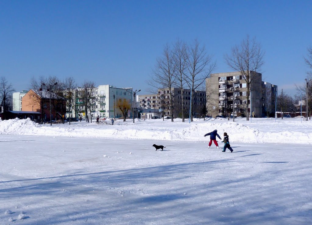 Lodowisko (1)