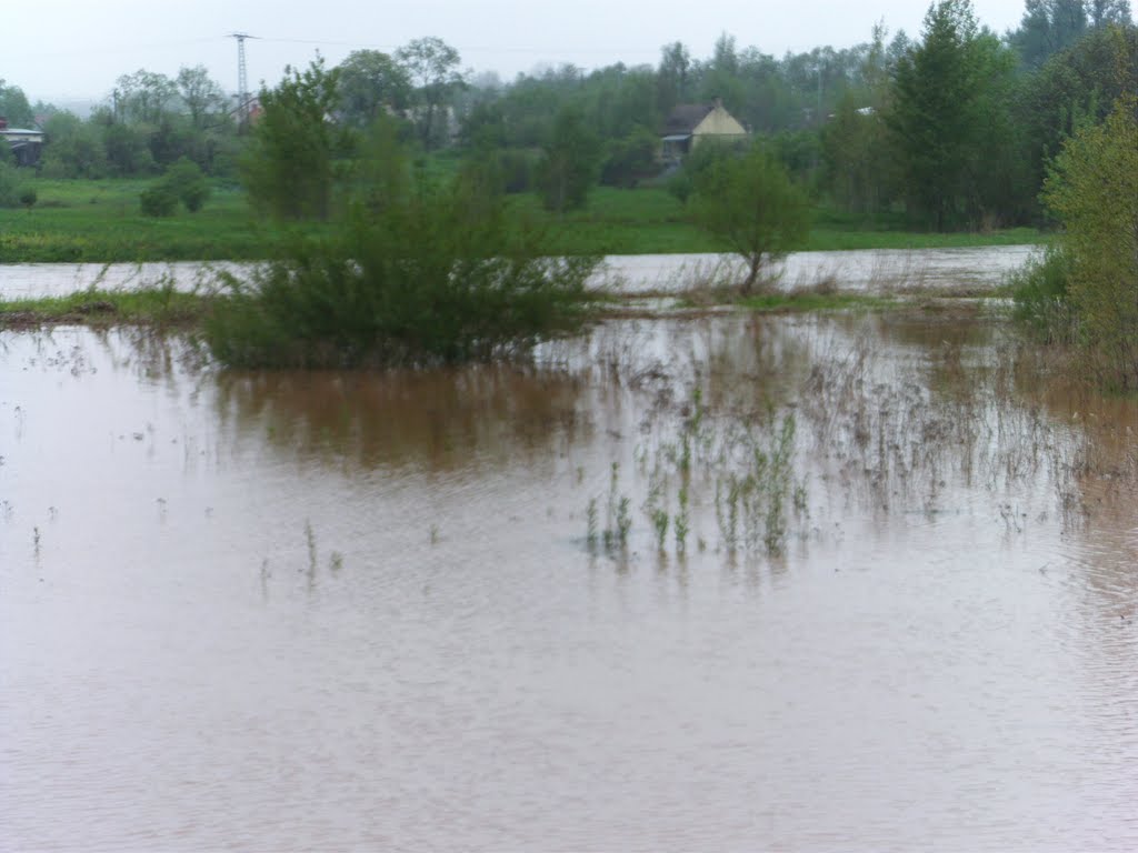 Rozlewisko rz. Kamiennej i Bernatki na Zachodnim- TSK 18.05.10
