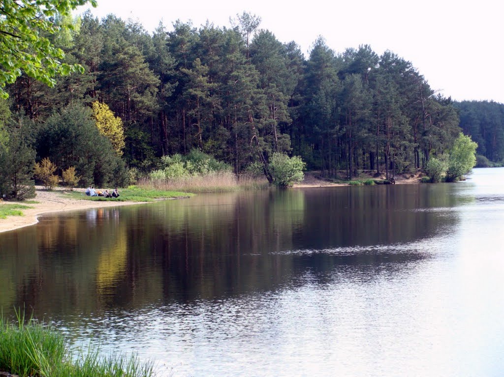 Skarżysko, zalew Rejów, dzika plaża