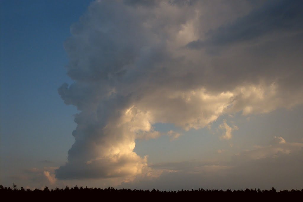 Przed burzą. Tornado