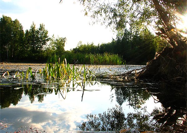 Cegielnia in Skarzysko Kamienna City