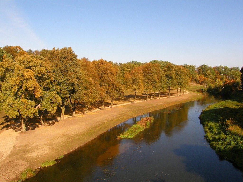 spojrzenie na jesień