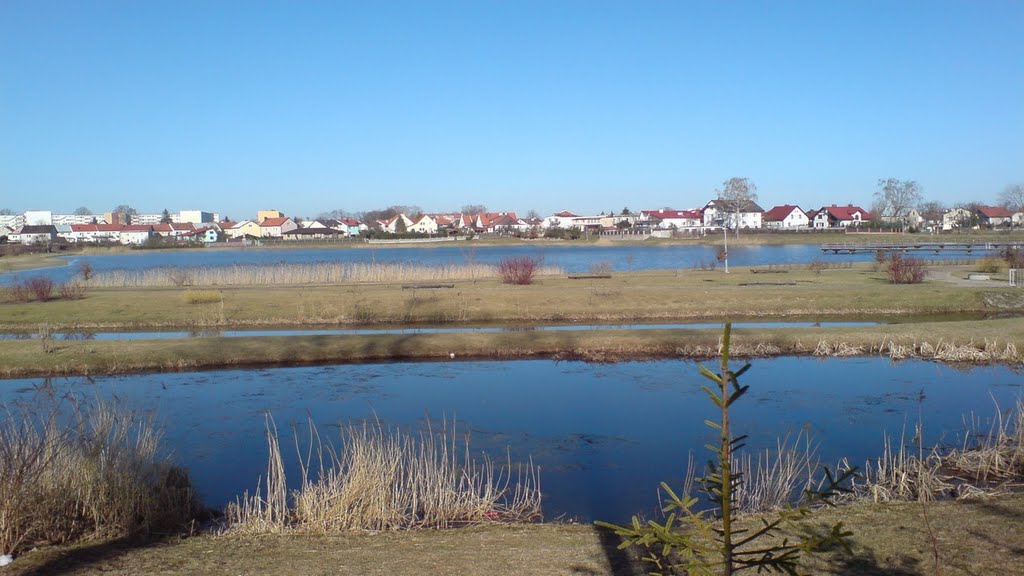jez.mleczarskie