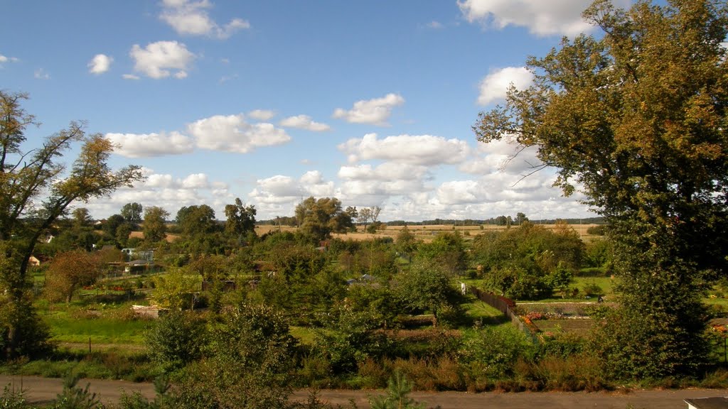 Widok z mojego okna