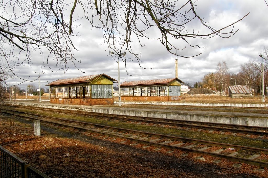 PKP_Bartoszyce