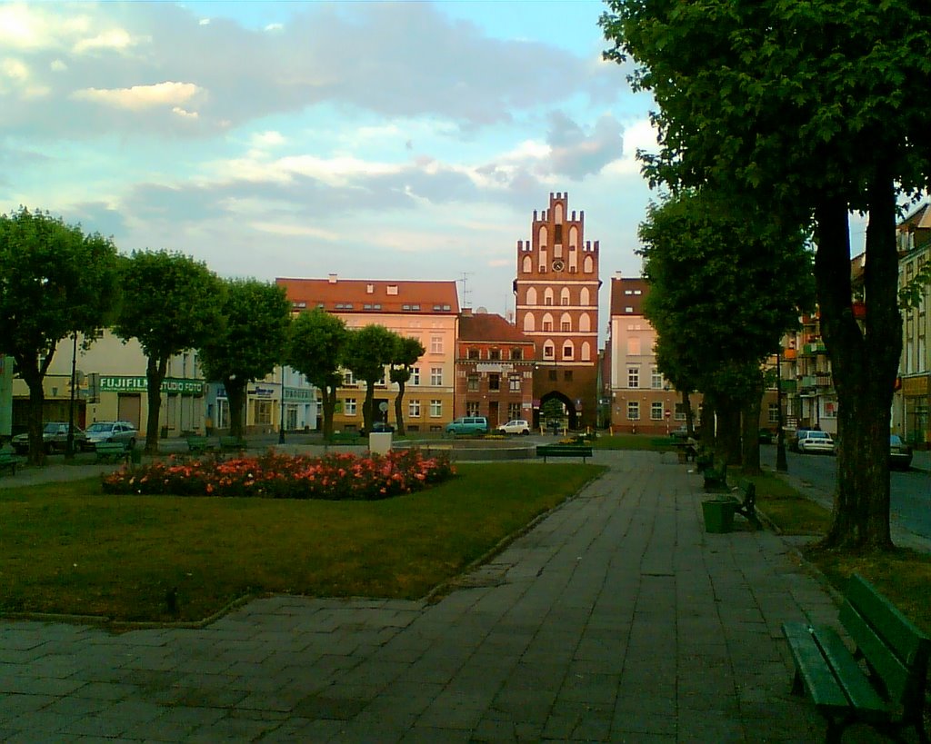 Plac Konstytucji 3 Maja