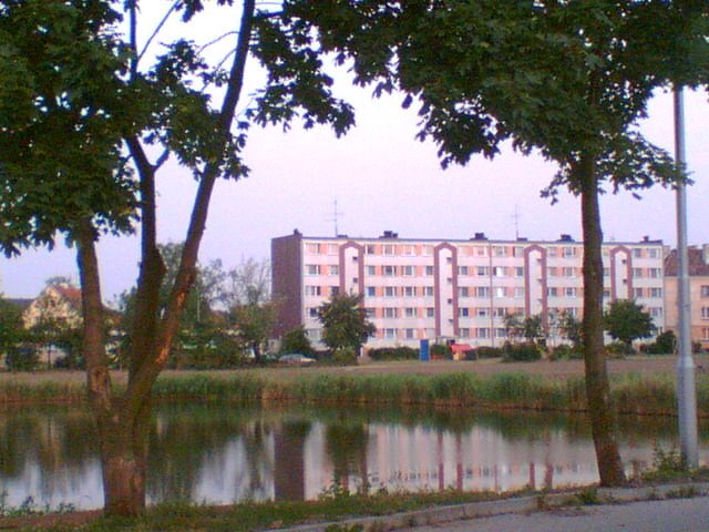 Staw przy ul. P.C.K.
