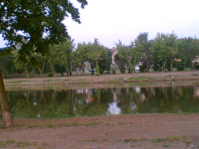 Staw od strony ul. P.C.K.