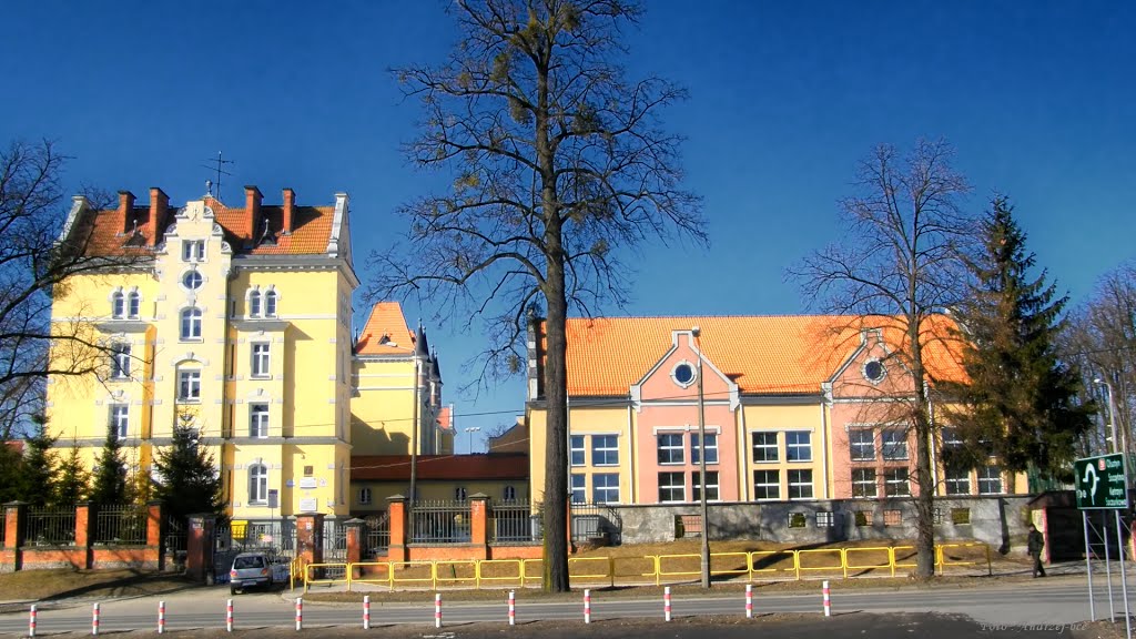 Gimnazjum nr.2