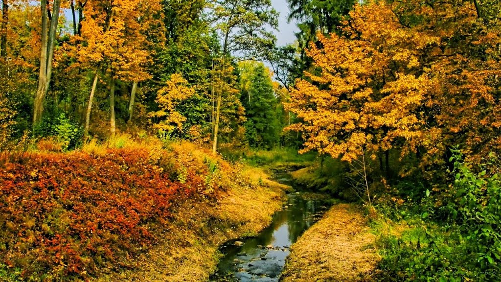 jesienią 2013