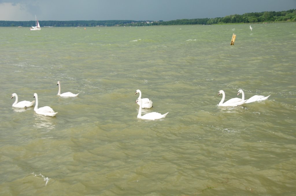 przed burzą, before the storm