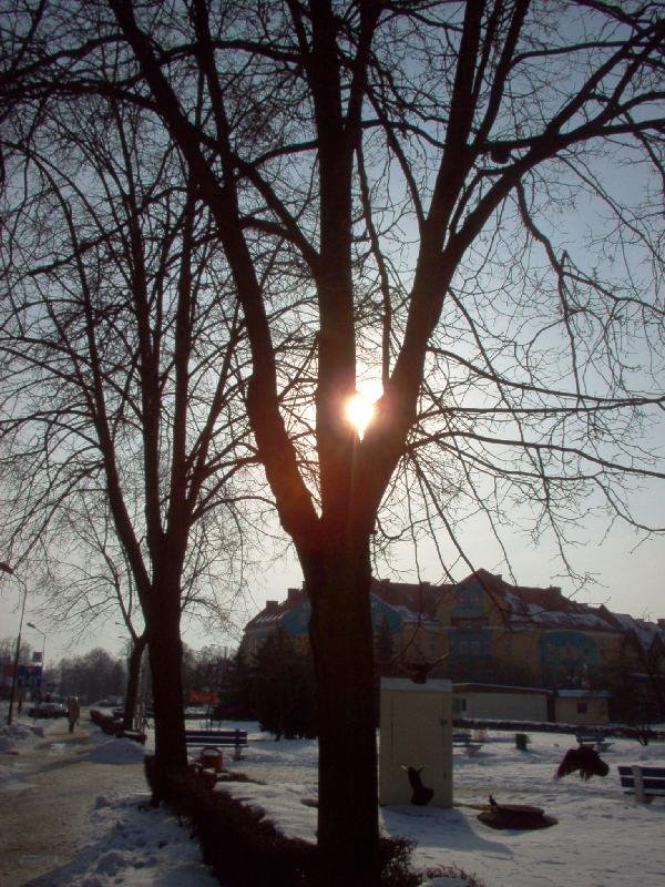 Giżycko