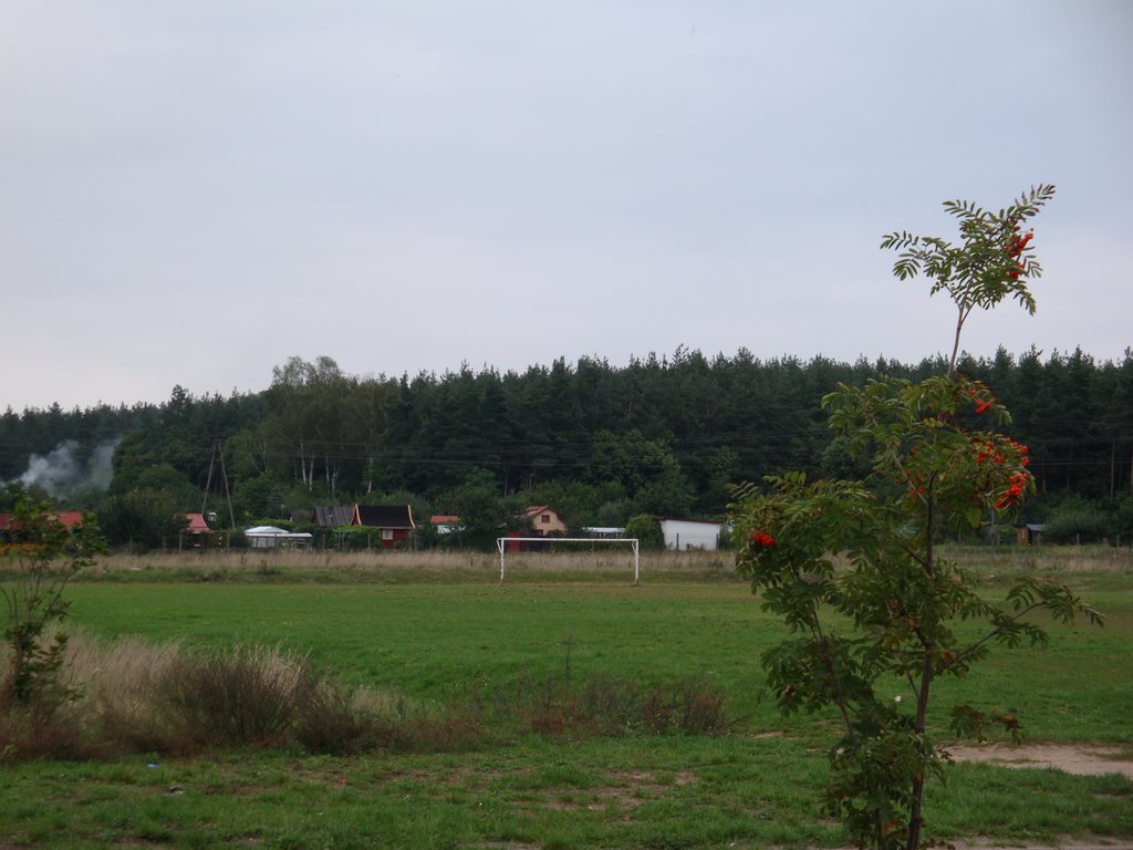 Dzialdowo, Ogrody rekreacyjne