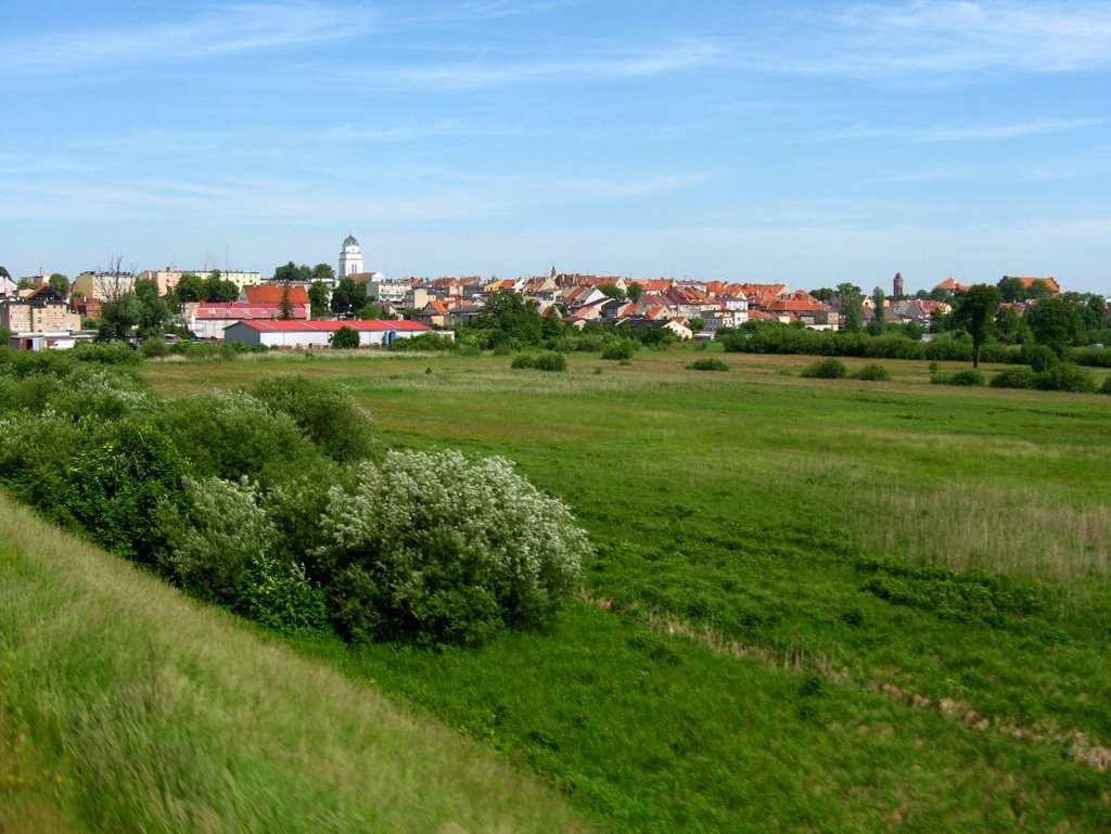 Działdowo