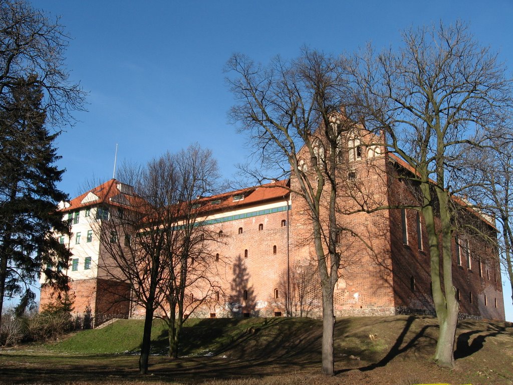 Zamek krzyżacki w Działdowie