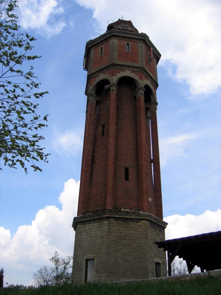 Działdowo