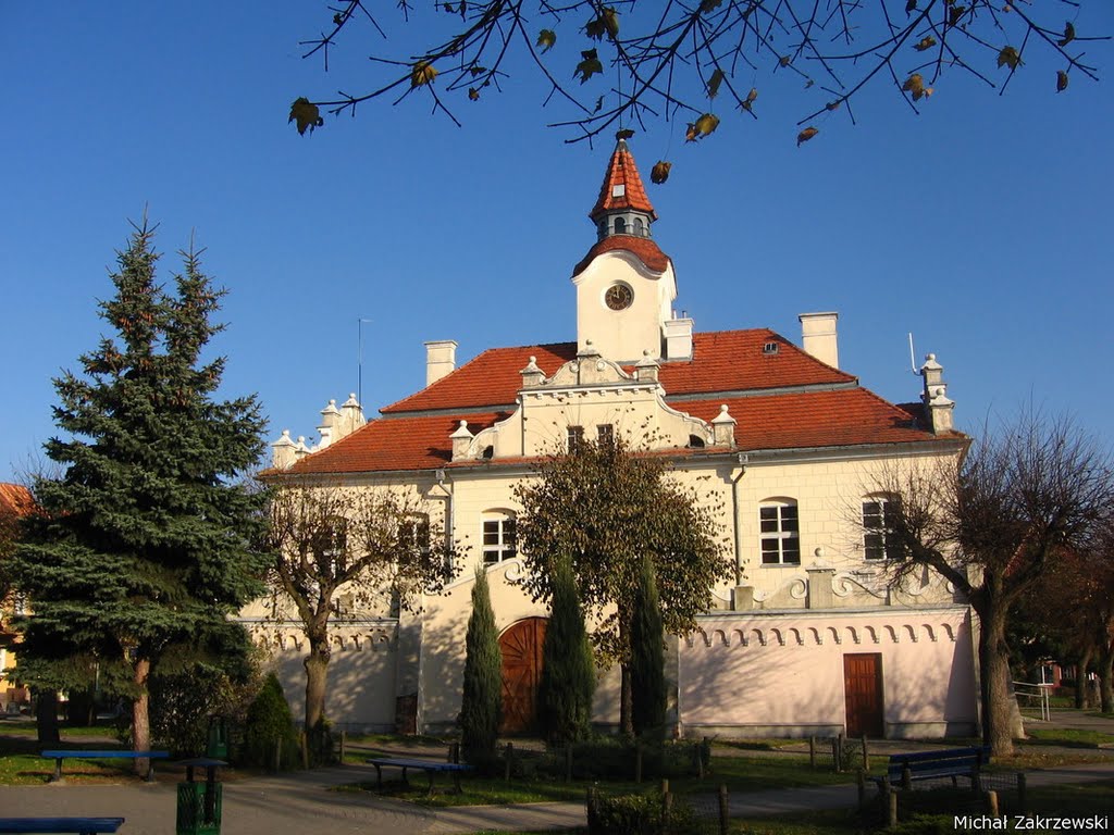 Otoczony drzewkami / Sieged with trees