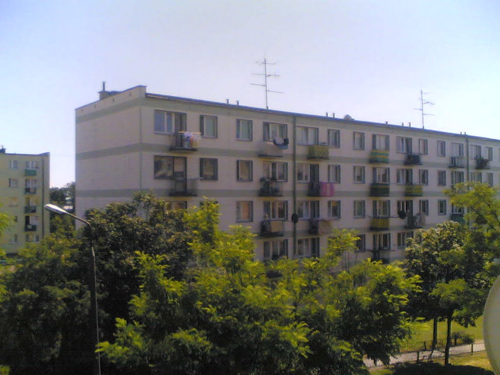 Norwida 5