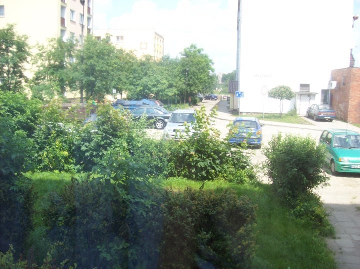 Widok na osiedle Męczenników z okna