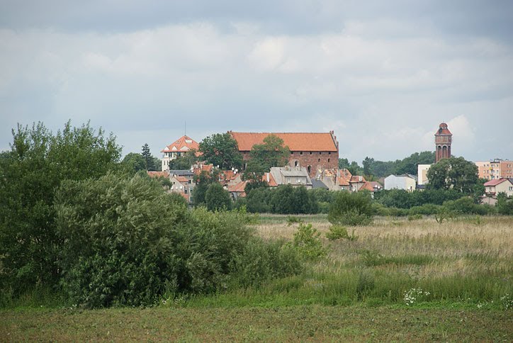 ZAMEK KRZYŻACKI W DZIAŁDOWIE