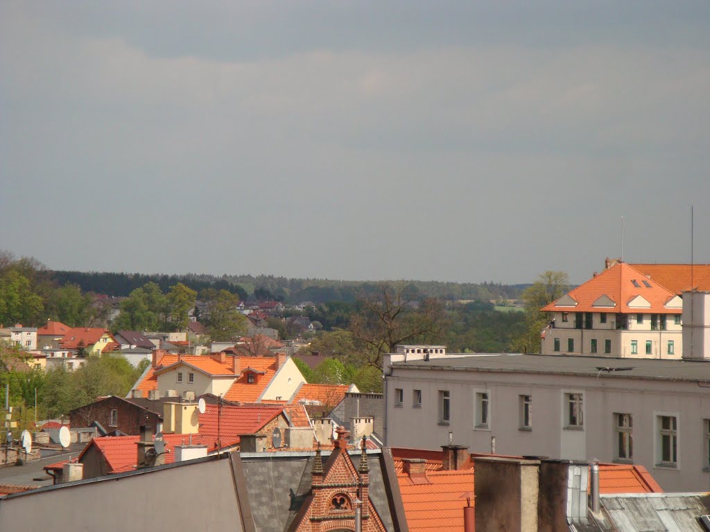 Widok z dachu Pocztowa 9A