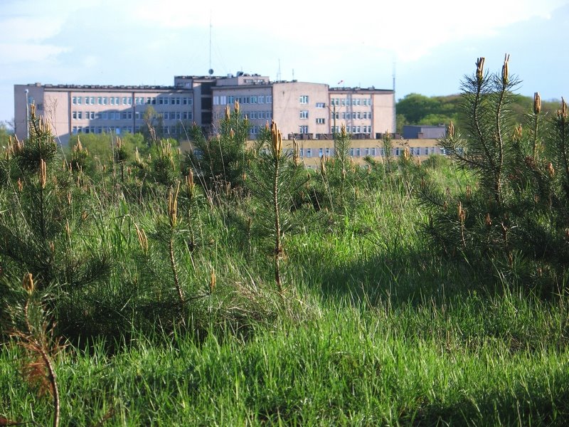Działdowo - szpital