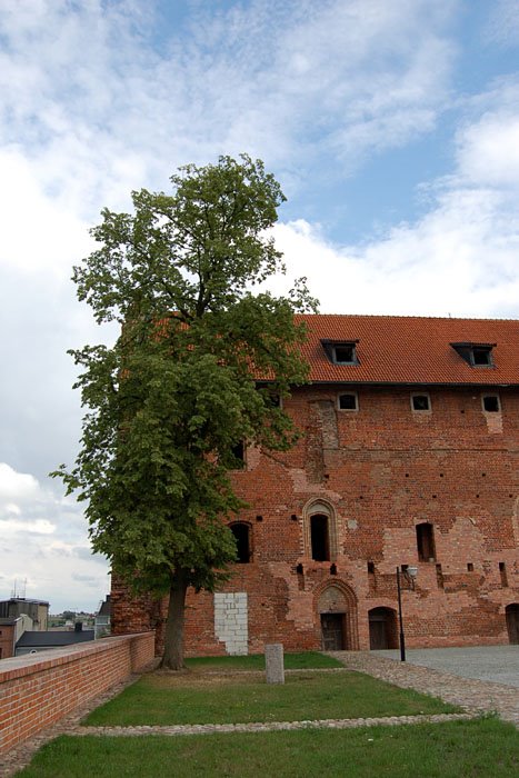 Działdowo_01