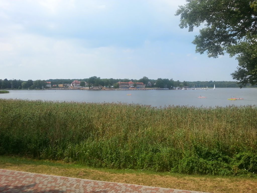 Jeziorak