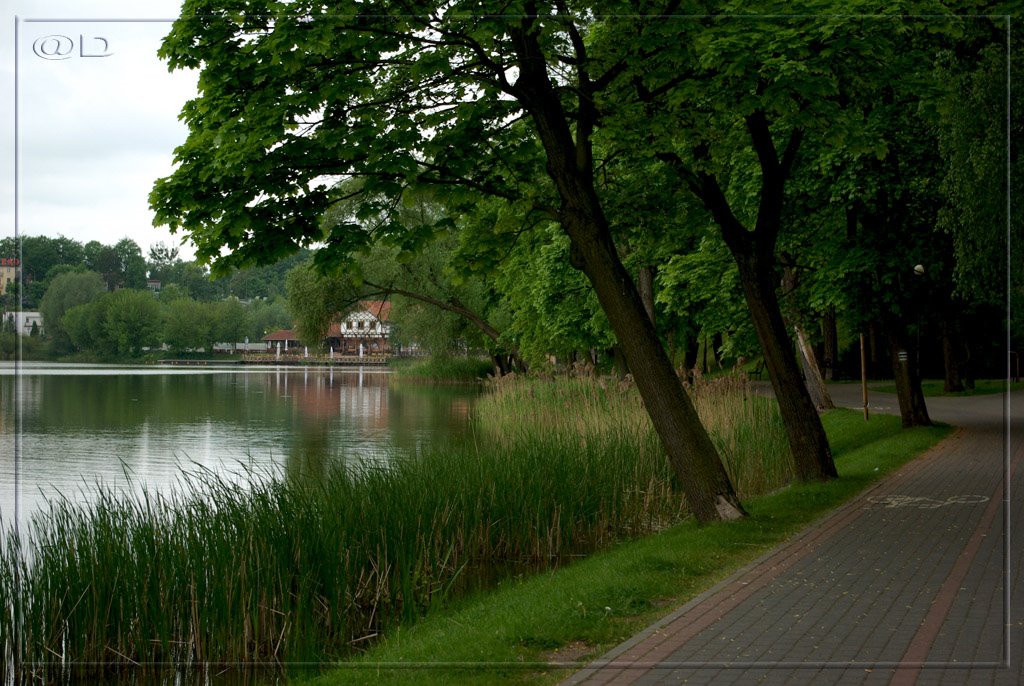 Iława