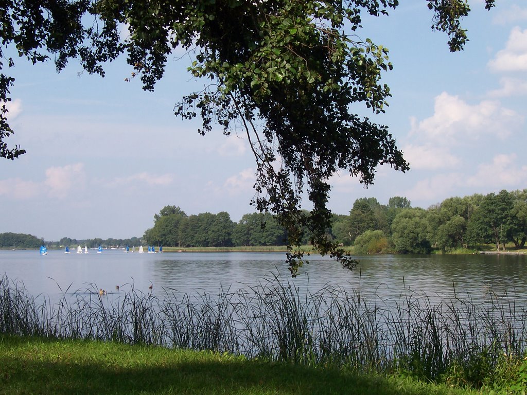 widok na jezioro Jeziorak