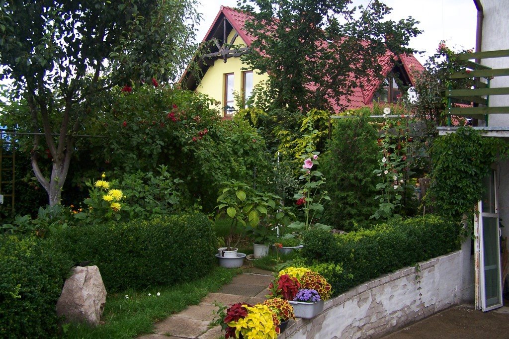 ilawa garden