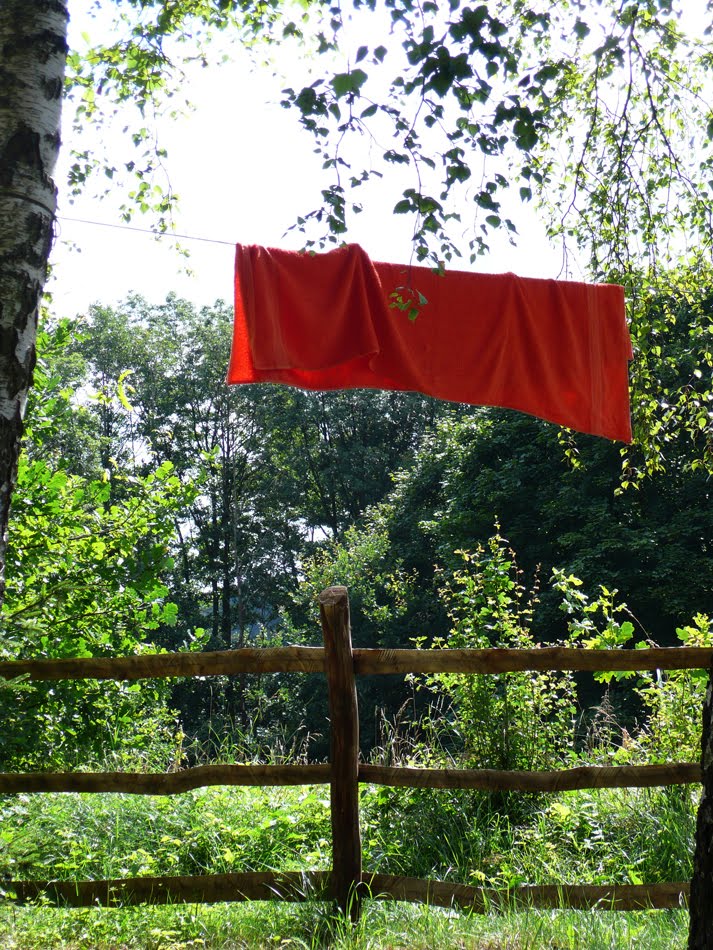 płachta na byka