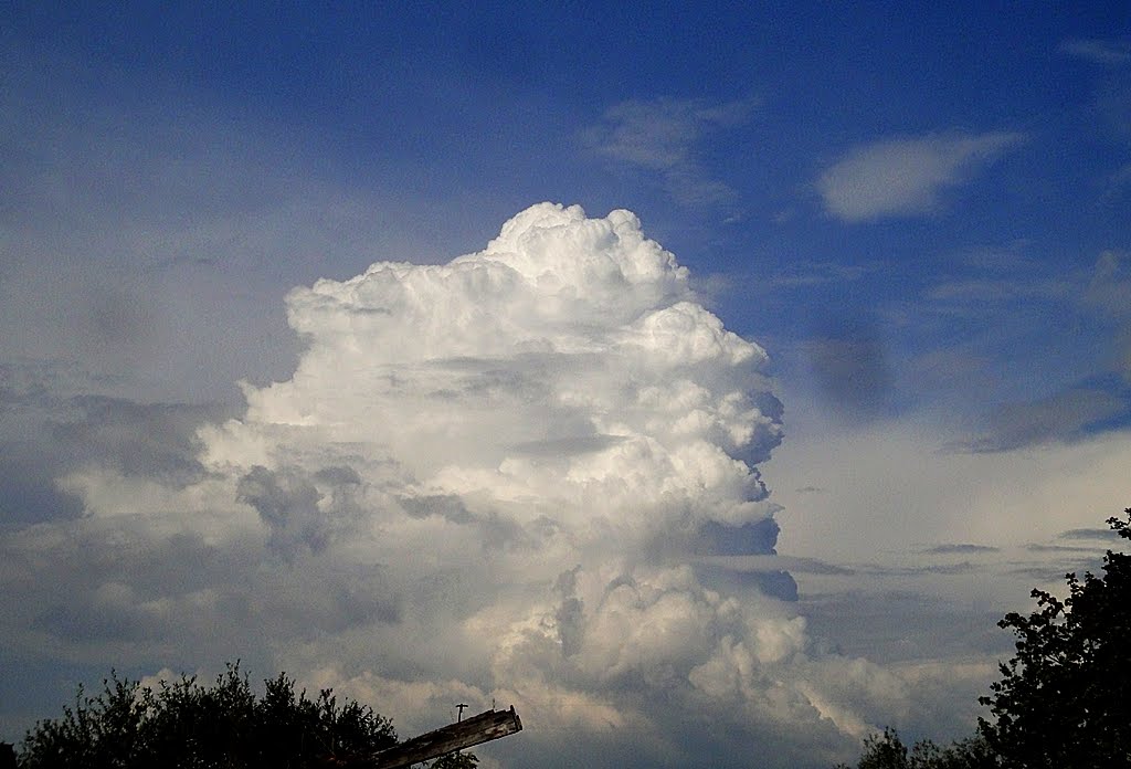 cumulus