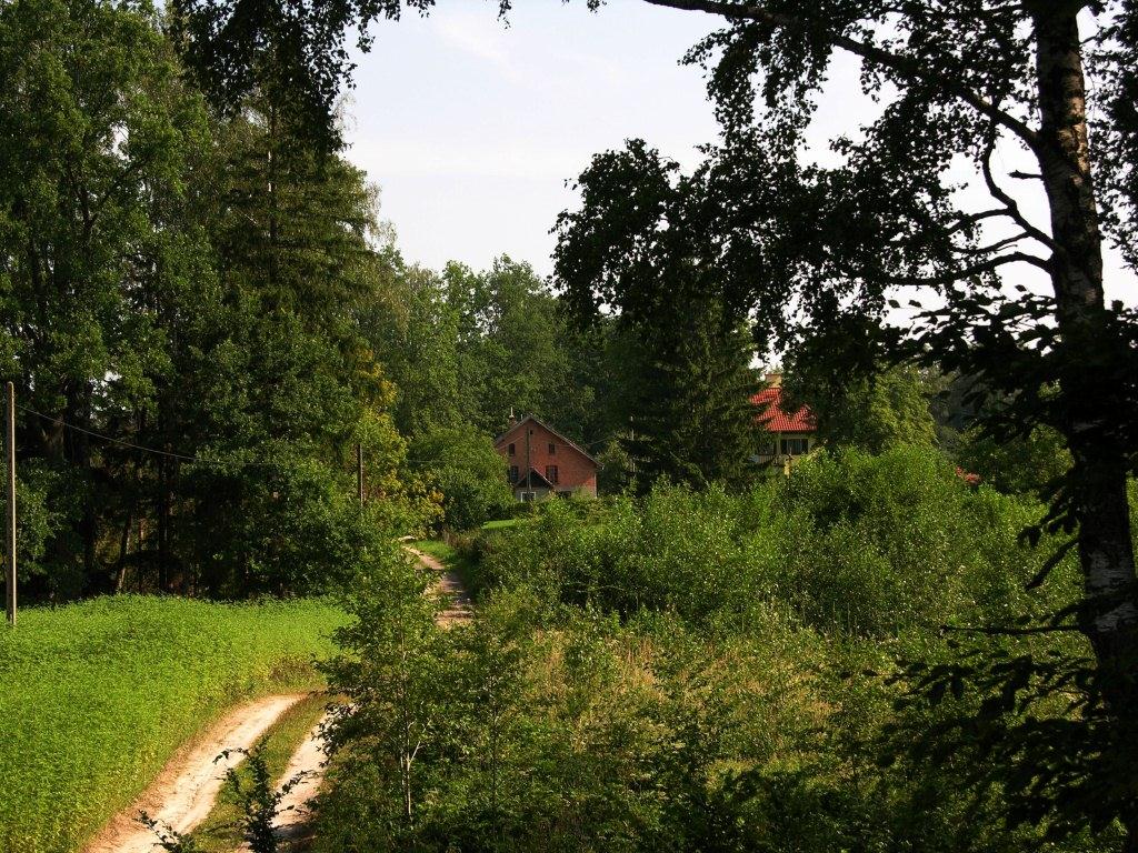 Widok w stronę  Domu myśliwskiego