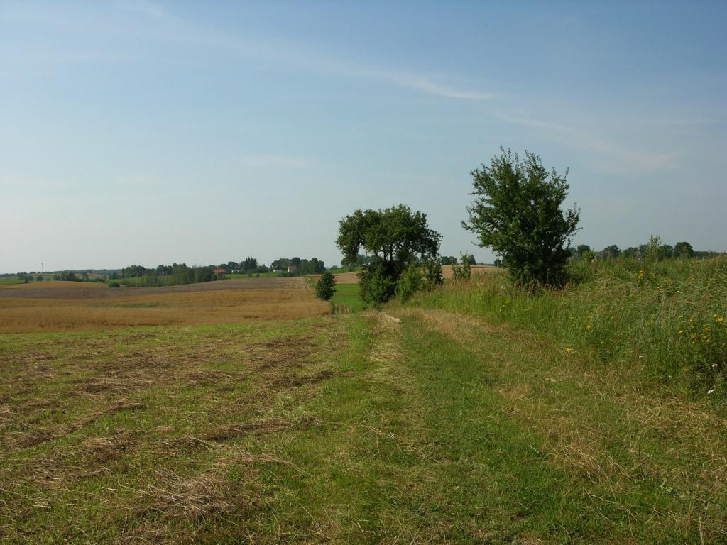 Widok w stronę Ramsowa