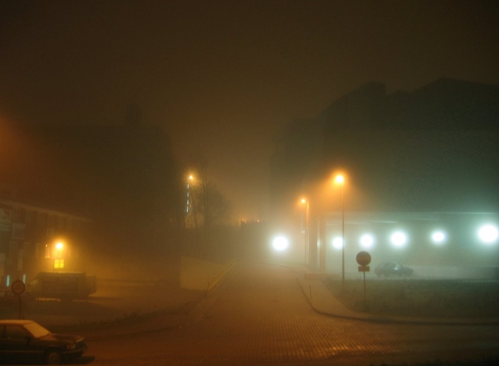 Foggy night