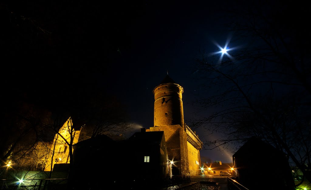 Castle Of Olsztyn (AD 1348)