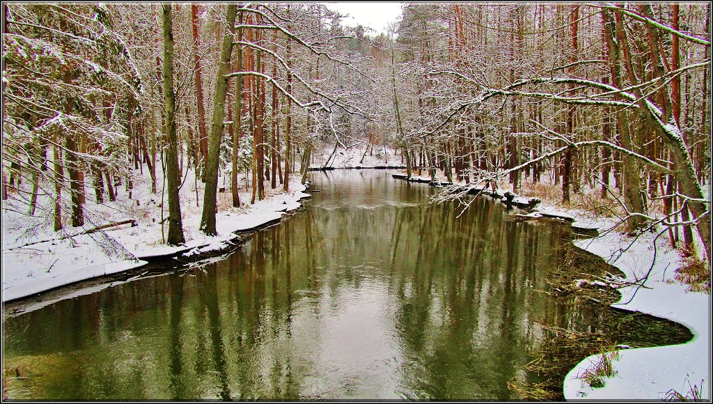 ŁYNA - PARK MIEJSKI ...