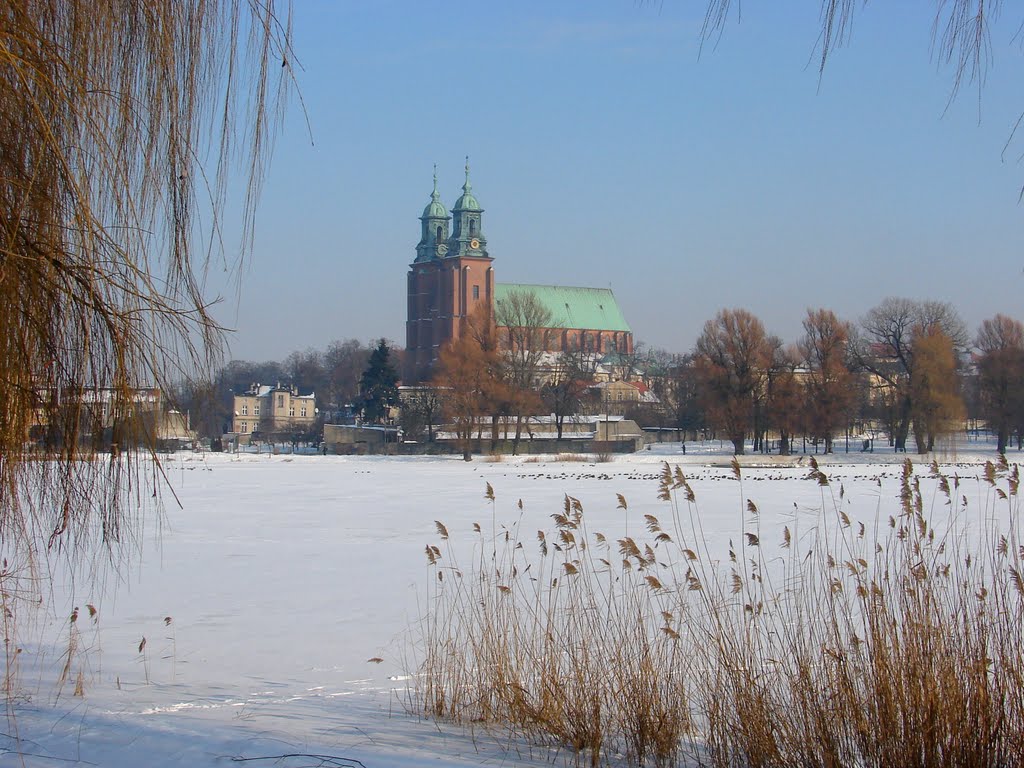 Gniezno  -  zima  2010 .