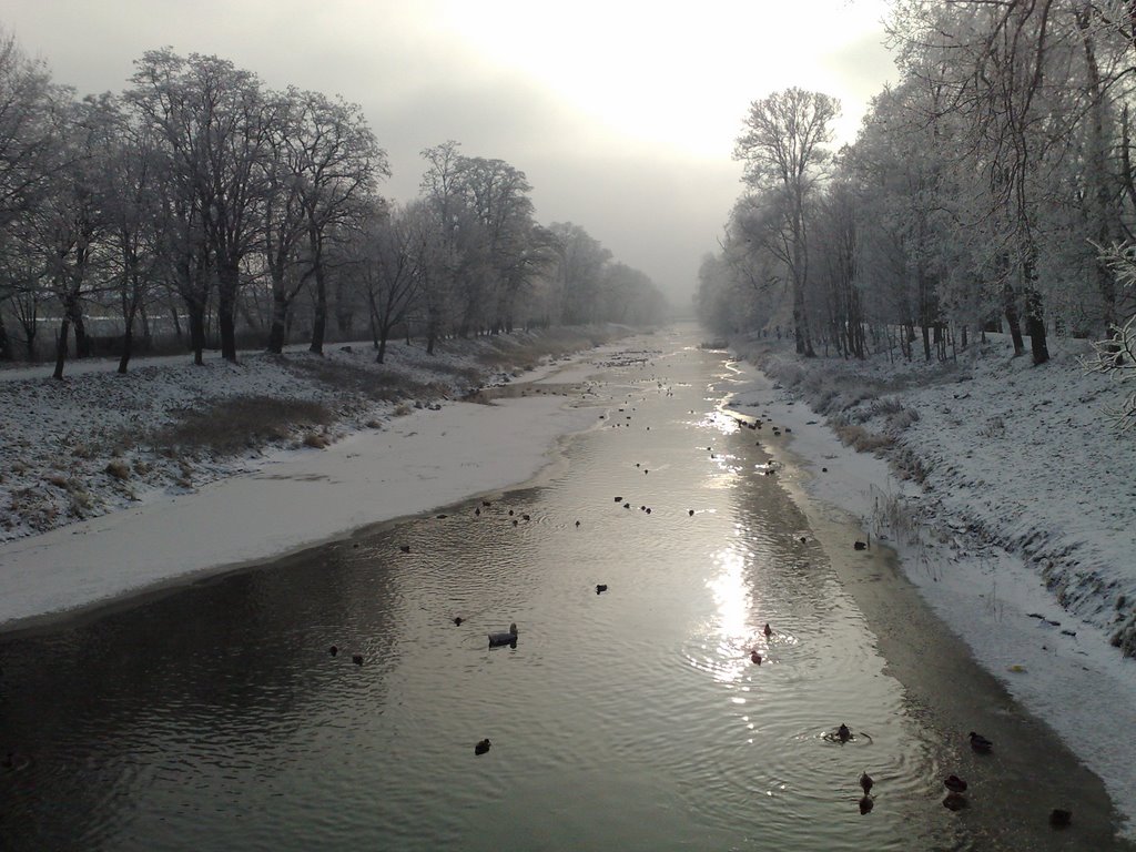 Kalisz (Bernardynka)