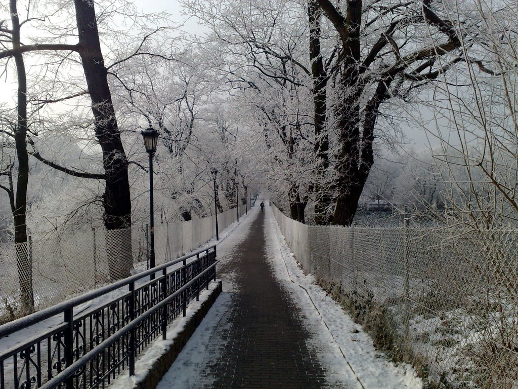 Kalisz- Aleja Walecznych