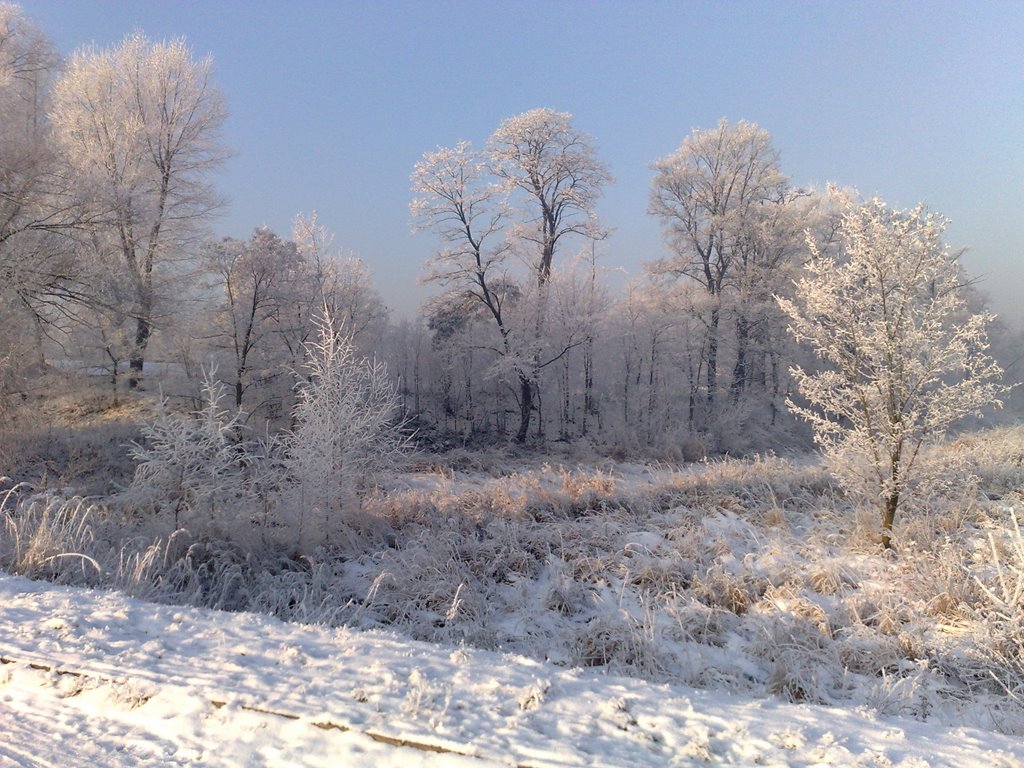 Polska- Kalisz-Nad rzeczką "SWĘDRNIĄ"