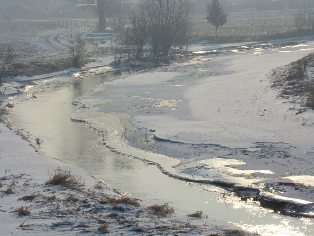 Z BURSZTYNOWEJ TRASY - Swędrnia w zimowej szacie / koniec zimy 2010/2011r./ 2