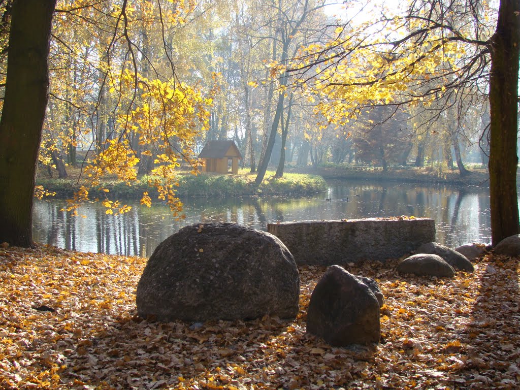 PARK KALISZ barwy jesieni 07